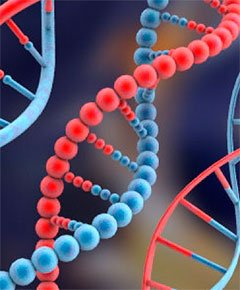 Radiografía del patentamiento del genoma humano